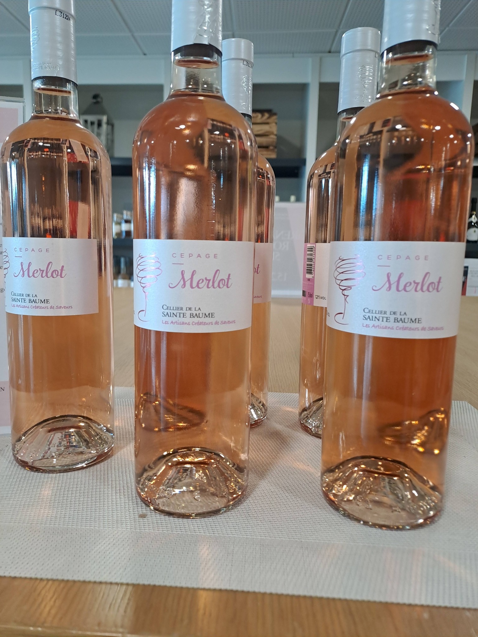 Cépage Merlot